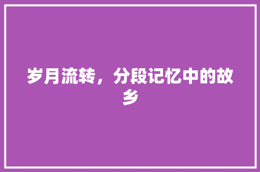 岁月流转，分段记忆中的故乡