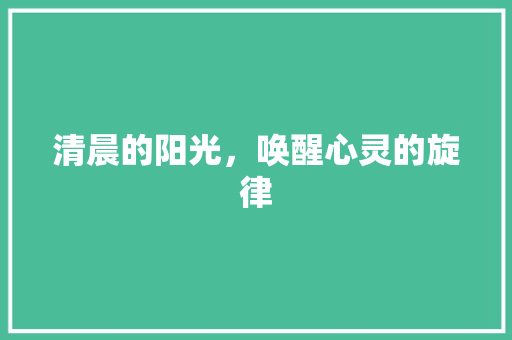 清晨的阳光，唤醒心灵的旋律