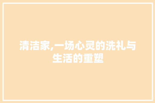 清洁家,一场心灵的洗礼与生活的重塑