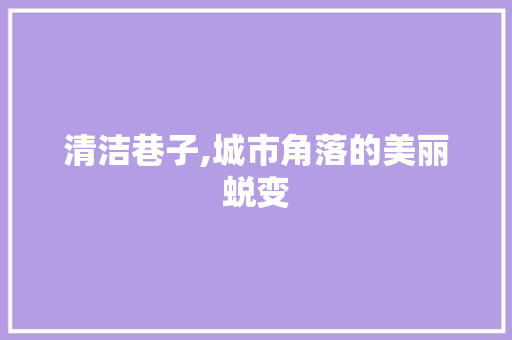 清洁巷子,城市角落的美丽蜕变