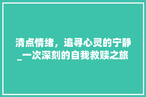 清点情绪，追寻心灵的宁静_一次深刻的自我救赎之旅