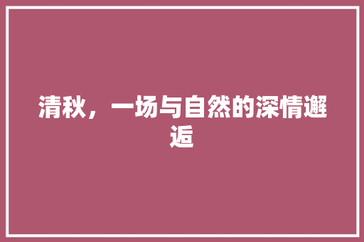 清秋，一场与自然的深情邂逅