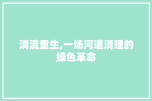 清流重生,一场河道清理的绿色革命