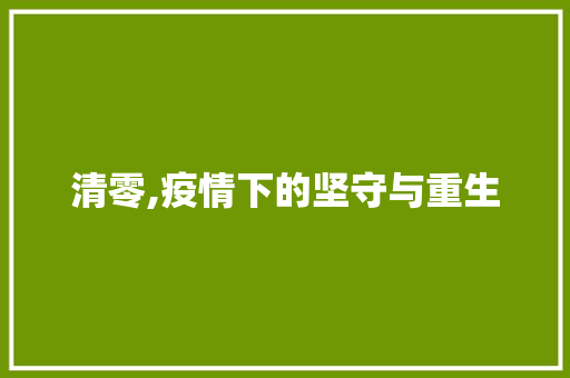 清零,疫情下的坚守与重生