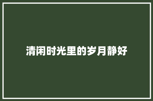 清闲时光里的岁月静好