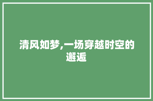 清风如梦,一场穿越时空的邂逅