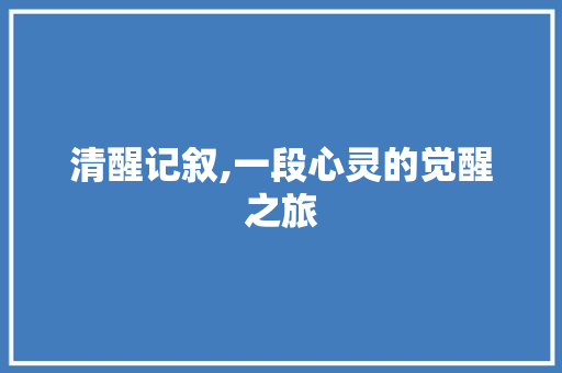 清醒记叙,一段心灵的觉醒之旅