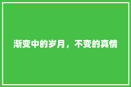 渐变中的岁月，不变的真情