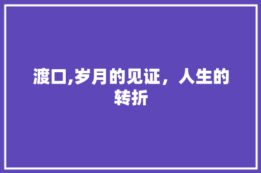 渡口,岁月的见证，人生的转折