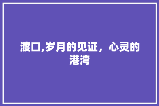 渡口,岁月的见证，心灵的港湾