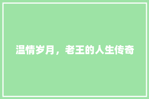 温情岁月，老王的人生传奇