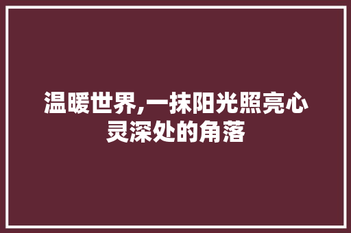 温暖世界,一抹阳光照亮心灵深处的角落