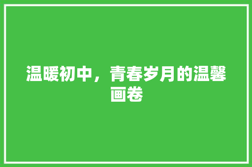 温暖初中，青春岁月的温馨画卷