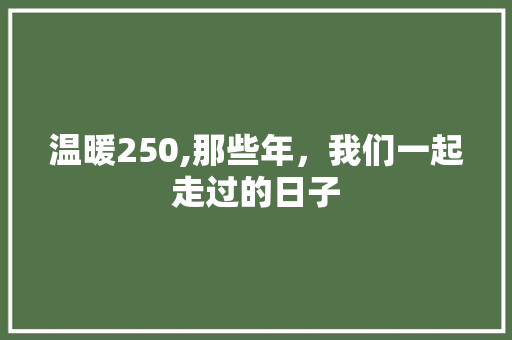 温暖250,那些年，我们一起走过的日子