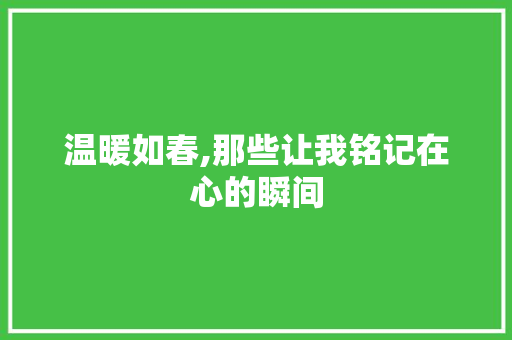 温暖如春,那些让我铭记在心的瞬间