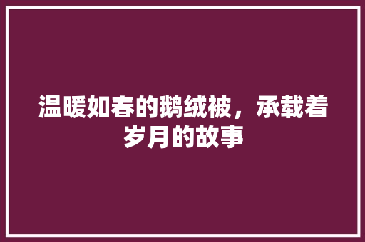 温暖如春的鹅绒被，承载着岁月的故事