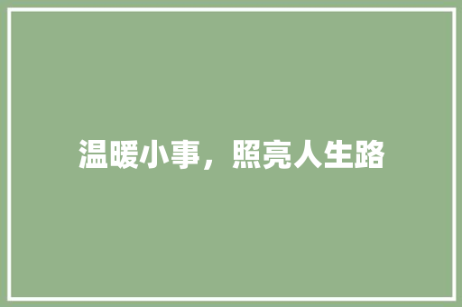 温暖小事，照亮人生路