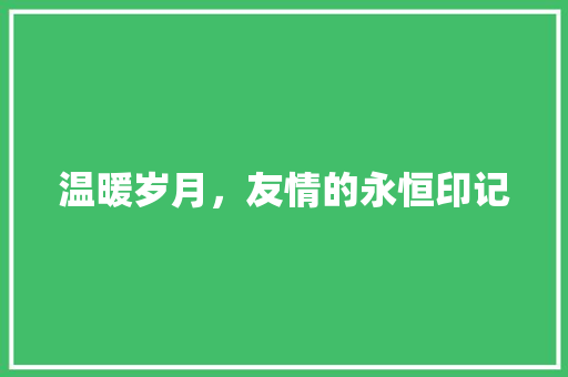 温暖岁月，友情的永恒印记