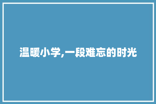 温暖小学,一段难忘的时光