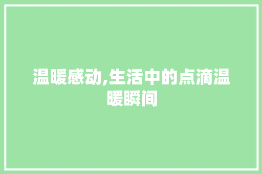 温暖感动,生活中的点滴温暖瞬间