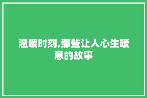 温暖时刻,那些让人心生暖意的故事