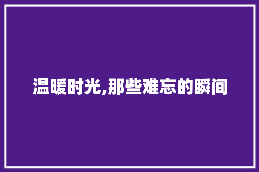 温暖时光,那些难忘的瞬间