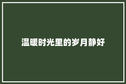 温暖时光里的岁月静好