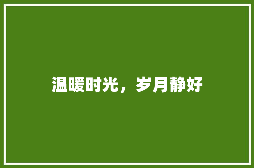 温暖时光，岁月静好