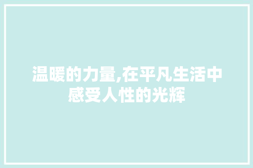 温暖的力量,在平凡生活中感受人性的光辉