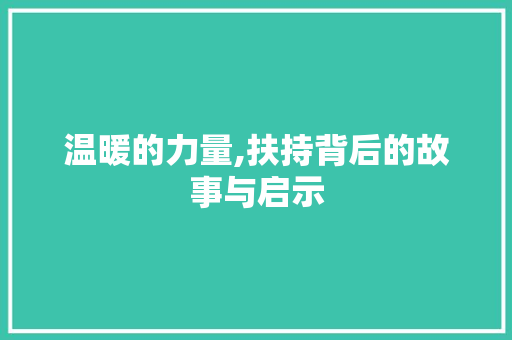 温暖的力量,扶持背后的故事与启示