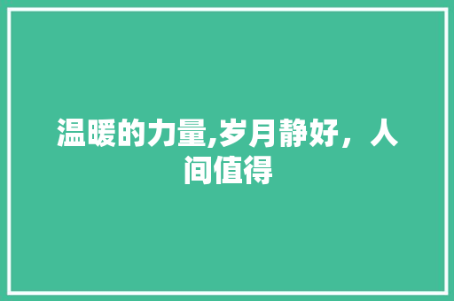 温暖的力量,岁月静好，人间值得