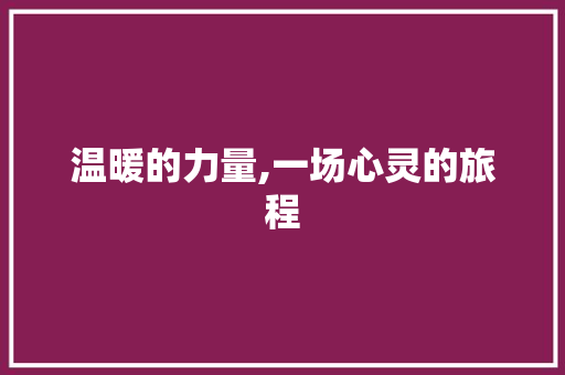 温暖的力量,一场心灵的旅程