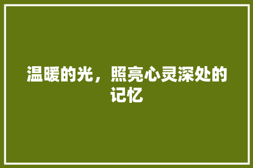 温暖的光，照亮心灵深处的记忆