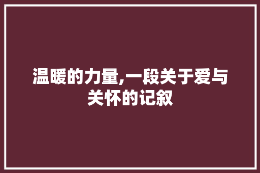 温暖的力量,一段关于爱与关怀的记叙