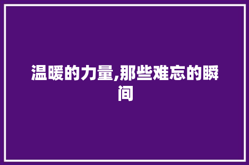 温暖的力量,那些难忘的瞬间