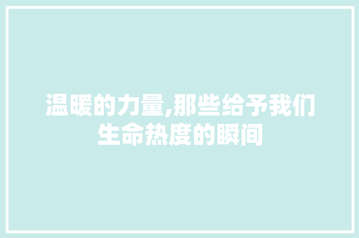 温暖的力量,那些给予我们生命热度的瞬间