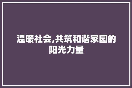 温暖社会,共筑和谐家园的阳光力量