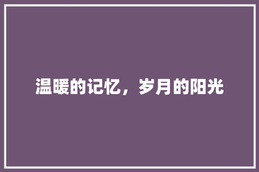 温暖的记忆，岁月的阳光