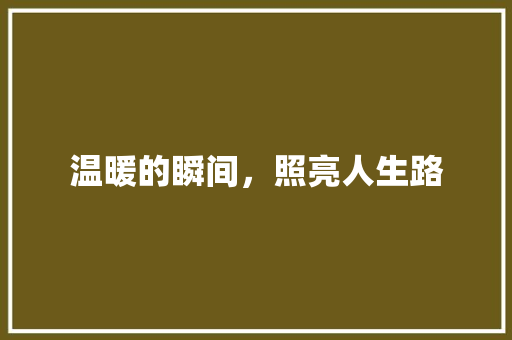 温暖的瞬间，照亮人生路