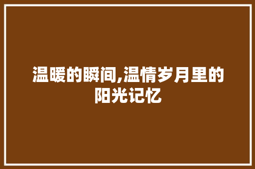 温暖的瞬间,温情岁月里的阳光记忆