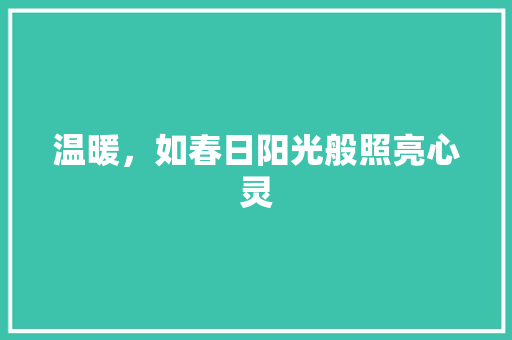 温暖，如春日阳光般照亮心灵