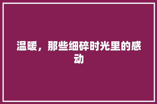 温暖，那些细碎时光里的感动