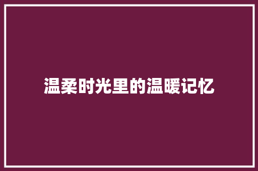 温柔时光里的温暖记忆