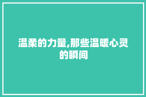 温柔的力量,那些温暖心灵的瞬间