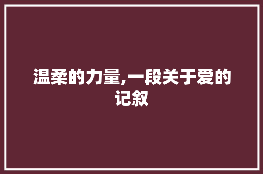 温柔的力量,一段关于爱的记叙