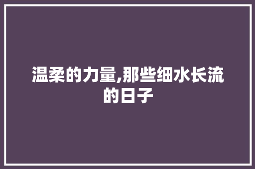 温柔的力量,那些细水长流的日子