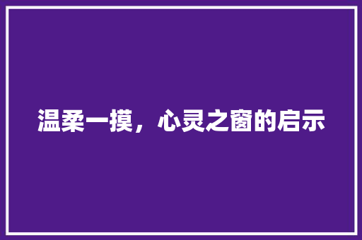 温柔一摸，心灵之窗的启示