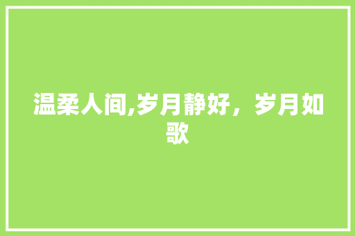 温柔人间,岁月静好，岁月如歌