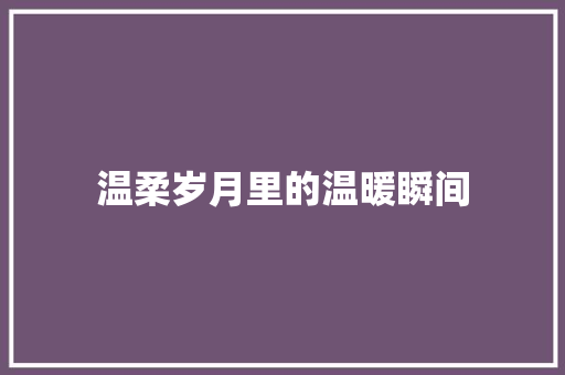 温柔岁月里的温暖瞬间