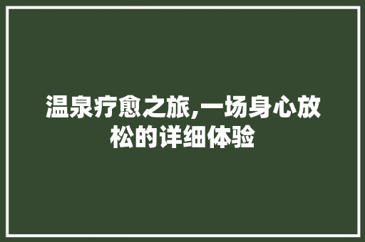 温泉疗愈之旅,一场身心放松的详细体验